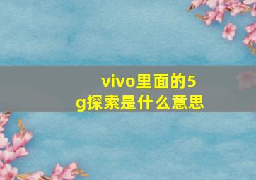 vivo里面的5g探索是什么意思