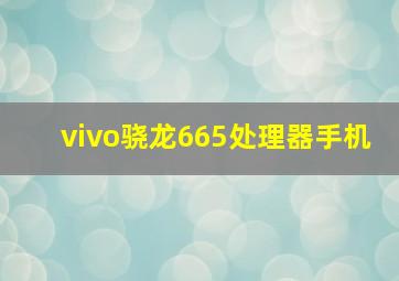 vivo骁龙665处理器手机