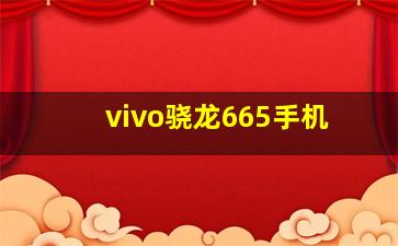 vivo骁龙665手机