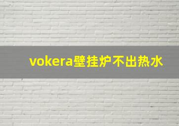 vokera壁挂炉不出热水