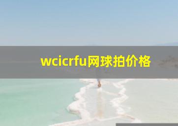 wcicrfu网球拍价格