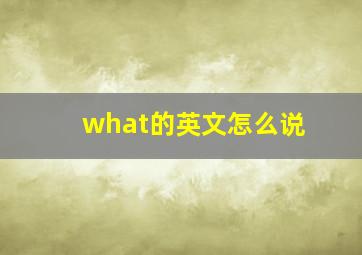 what的英文怎么说