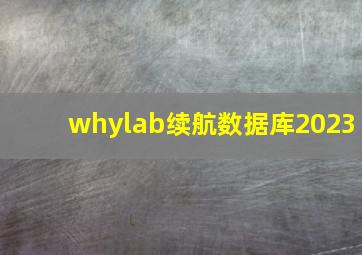 whylab续航数据库2023