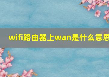 wifi路由器上wan是什么意思