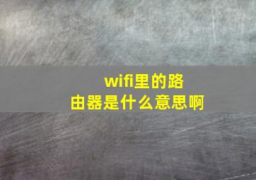 wifi里的路由器是什么意思啊