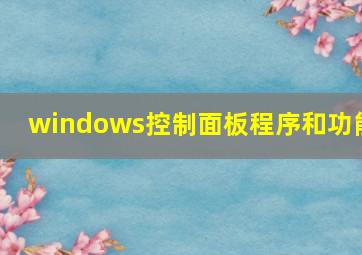 windows控制面板程序和功能