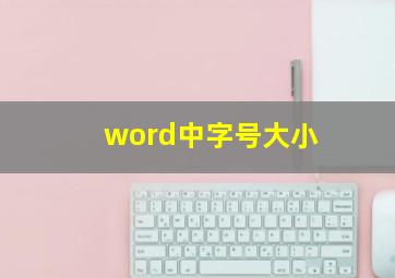 word中字号大小