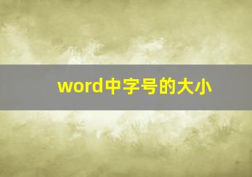 word中字号的大小