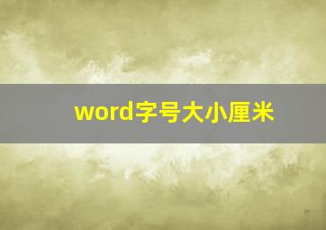 word字号大小厘米