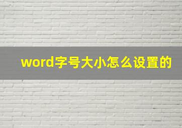 word字号大小怎么设置的