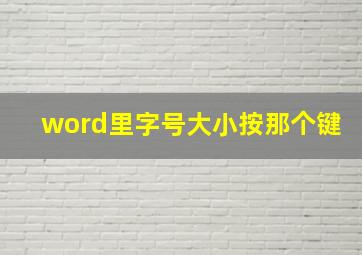 word里字号大小按那个键