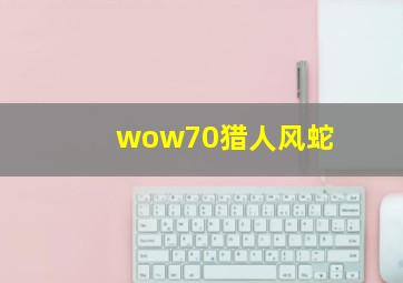 wow70猎人风蛇