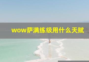 wow萨满练级用什么天赋