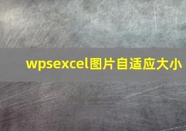 wpsexcel图片自适应大小