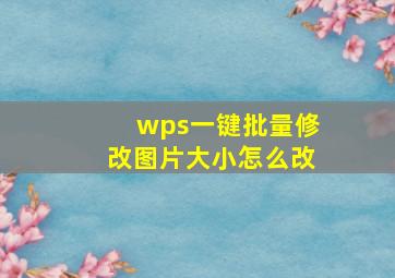 wps一键批量修改图片大小怎么改