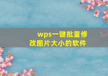 wps一键批量修改图片大小的软件