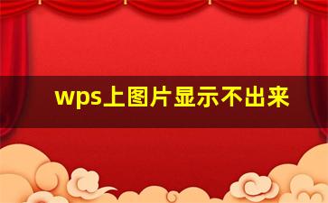 wps上图片显示不出来