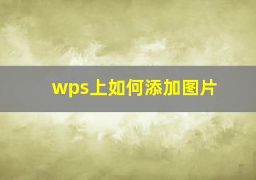 wps上如何添加图片