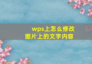 wps上怎么修改图片上的文字内容