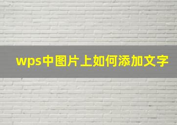 wps中图片上如何添加文字