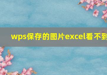 wps保存的图片excel看不到