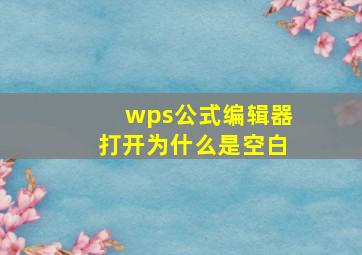 wps公式编辑器打开为什么是空白