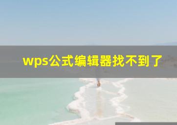 wps公式编辑器找不到了