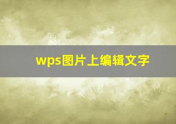 wps图片上编辑文字