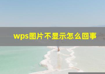 wps图片不显示怎么回事