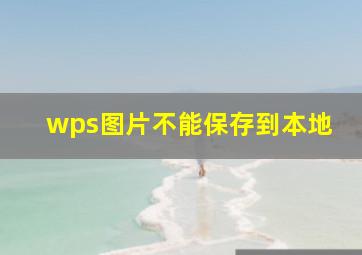 wps图片不能保存到本地