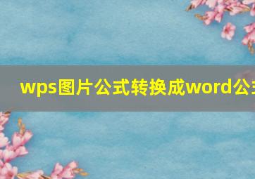 wps图片公式转换成word公式