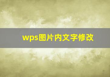 wps图片内文字修改