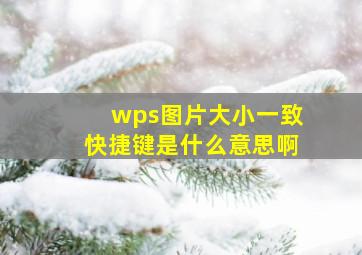 wps图片大小一致快捷键是什么意思啊