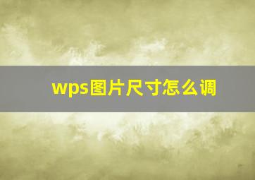 wps图片尺寸怎么调