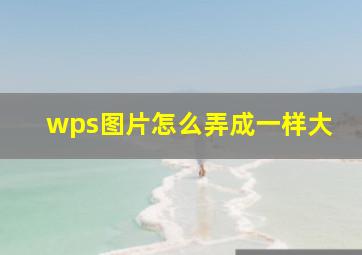 wps图片怎么弄成一样大