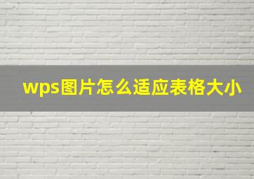 wps图片怎么适应表格大小