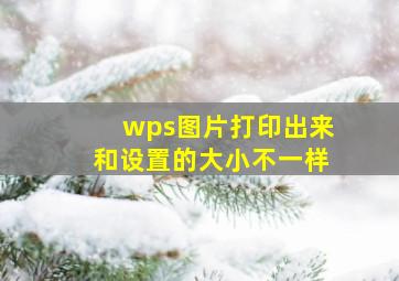 wps图片打印出来和设置的大小不一样