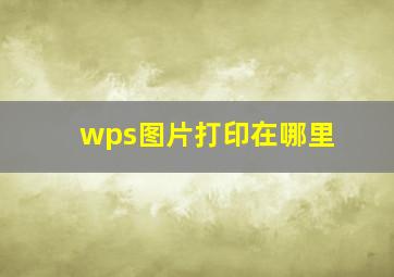 wps图片打印在哪里