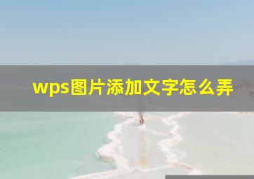 wps图片添加文字怎么弄