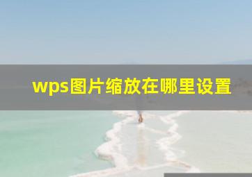 wps图片缩放在哪里设置