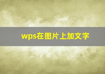 wps在图片上加文字