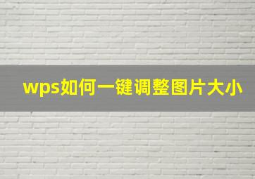 wps如何一键调整图片大小