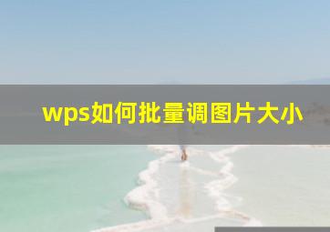 wps如何批量调图片大小