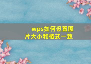 wps如何设置图片大小和格式一致