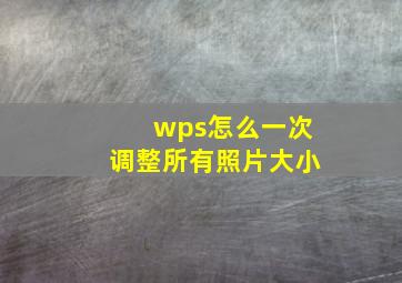 wps怎么一次调整所有照片大小