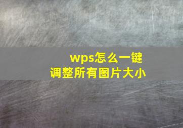 wps怎么一键调整所有图片大小