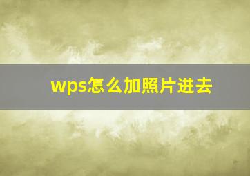 wps怎么加照片进去