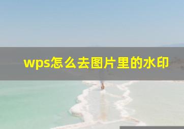 wps怎么去图片里的水印