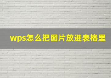 wps怎么把图片放进表格里