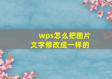 wps怎么把图片文字修改成一样的